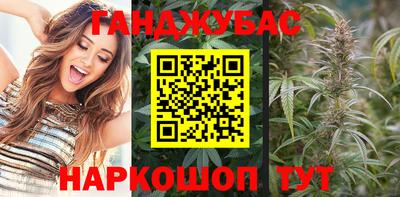 тгк Обь