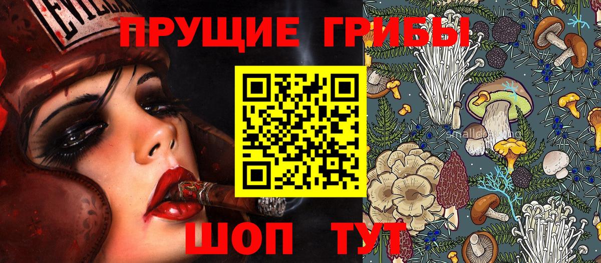 Псилоцибиновые грибы прущие грибы Строитель