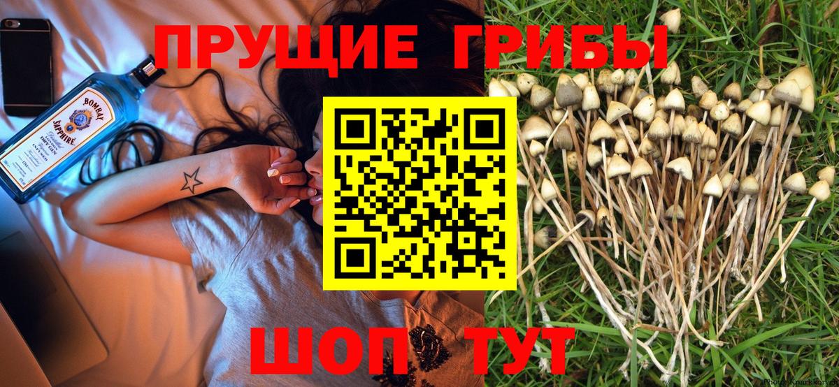 Псилоцибиновые грибы Cubensis  Галлюциногенные грибы ЛСД  Вход с VPN  Строитель 